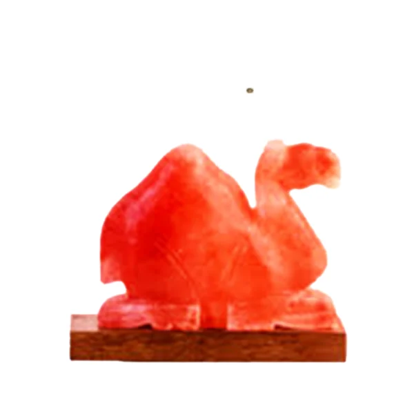 Camel Shape