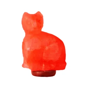 Cat Shape