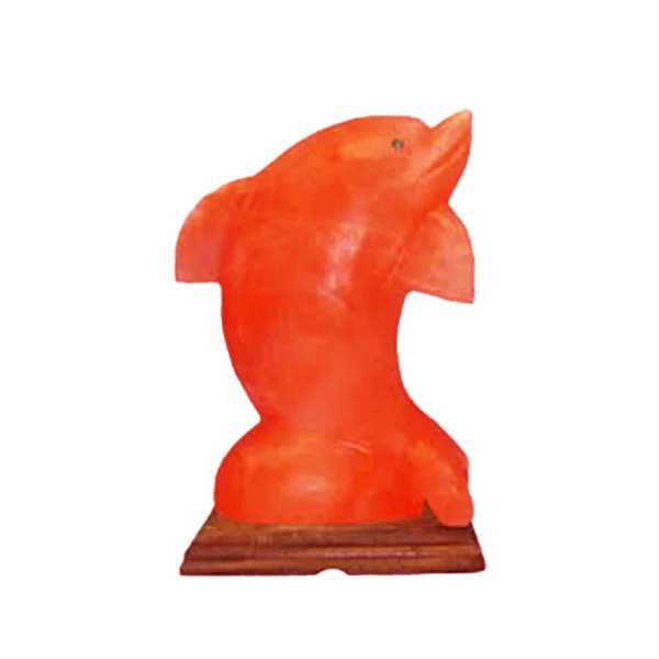 Dolphin Shape