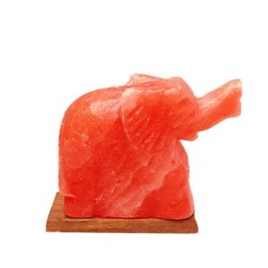 Elephant Shape