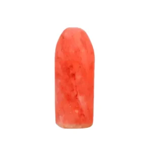 Salt Deo Stick